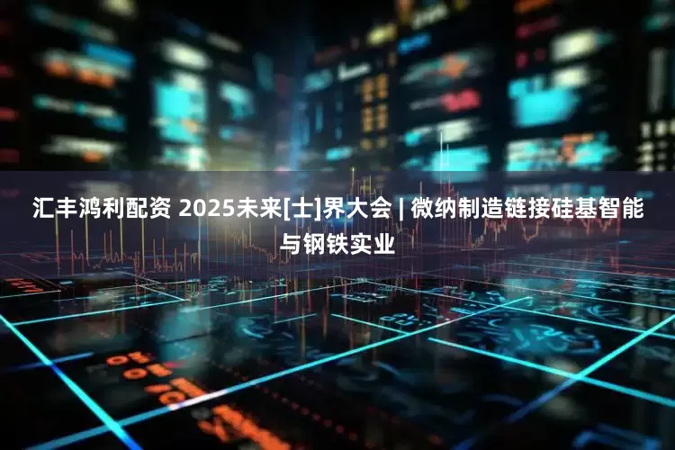 汇丰鸿利配资 2025未来[士]界大会 | 微纳制造链接硅基智能与钢铁实业